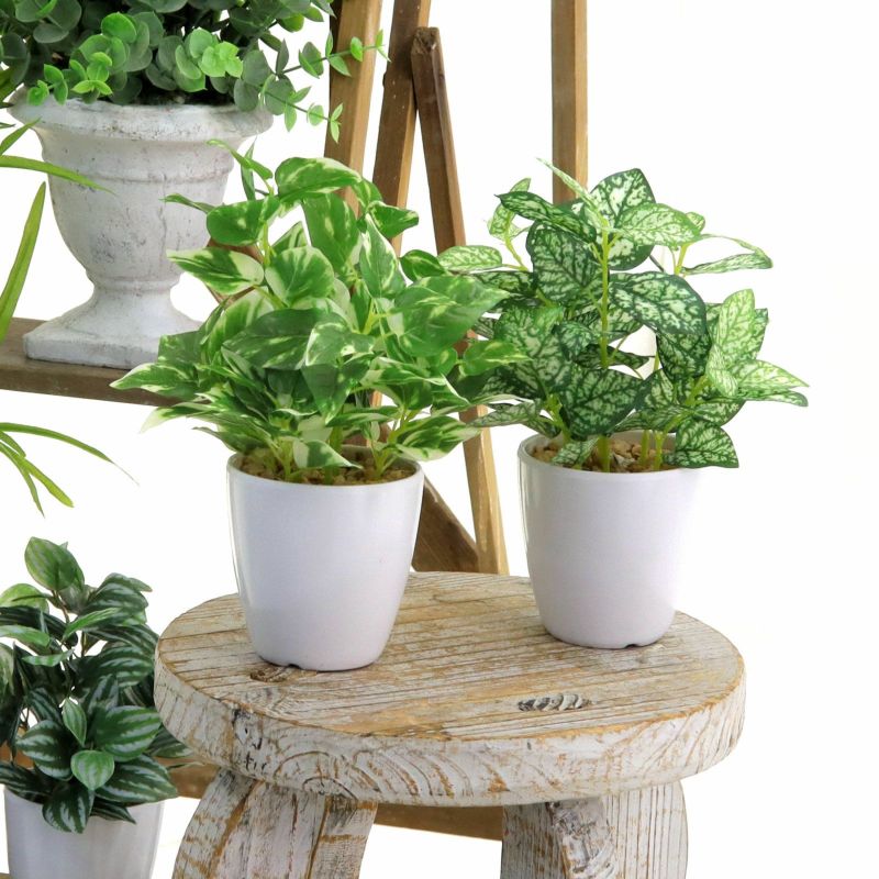 No8434 フェイクグリーン 「色もカタチも三者三様 × 並べるだけで