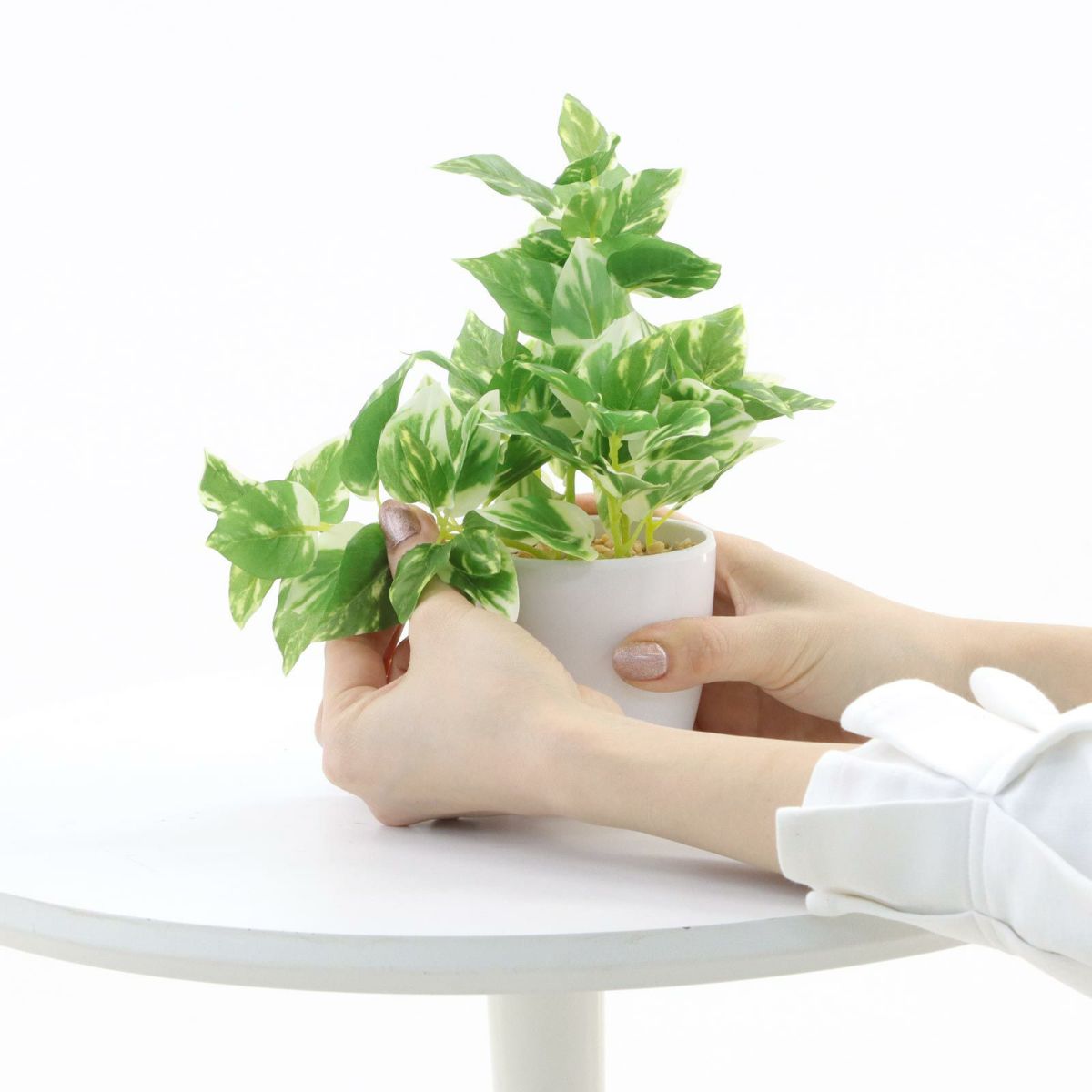 枝を広げて調整してください