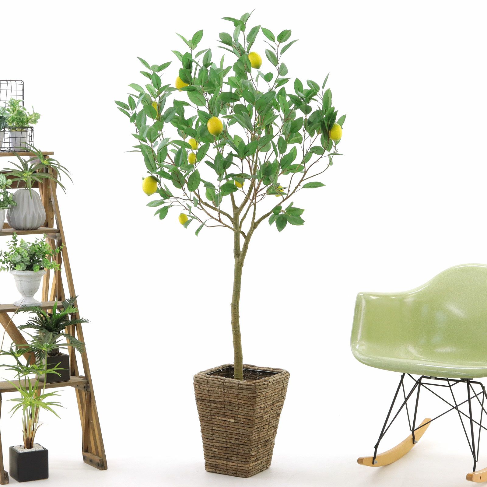 光触媒　人工観葉植物　ウォールグリーン　フェイクグリーン　レモンの木1.35 楽天市場】レモンの木 実付 180cm (人工観葉植物 造花 人工樹木