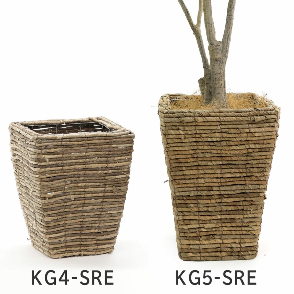 バナナリーフバスケット比較