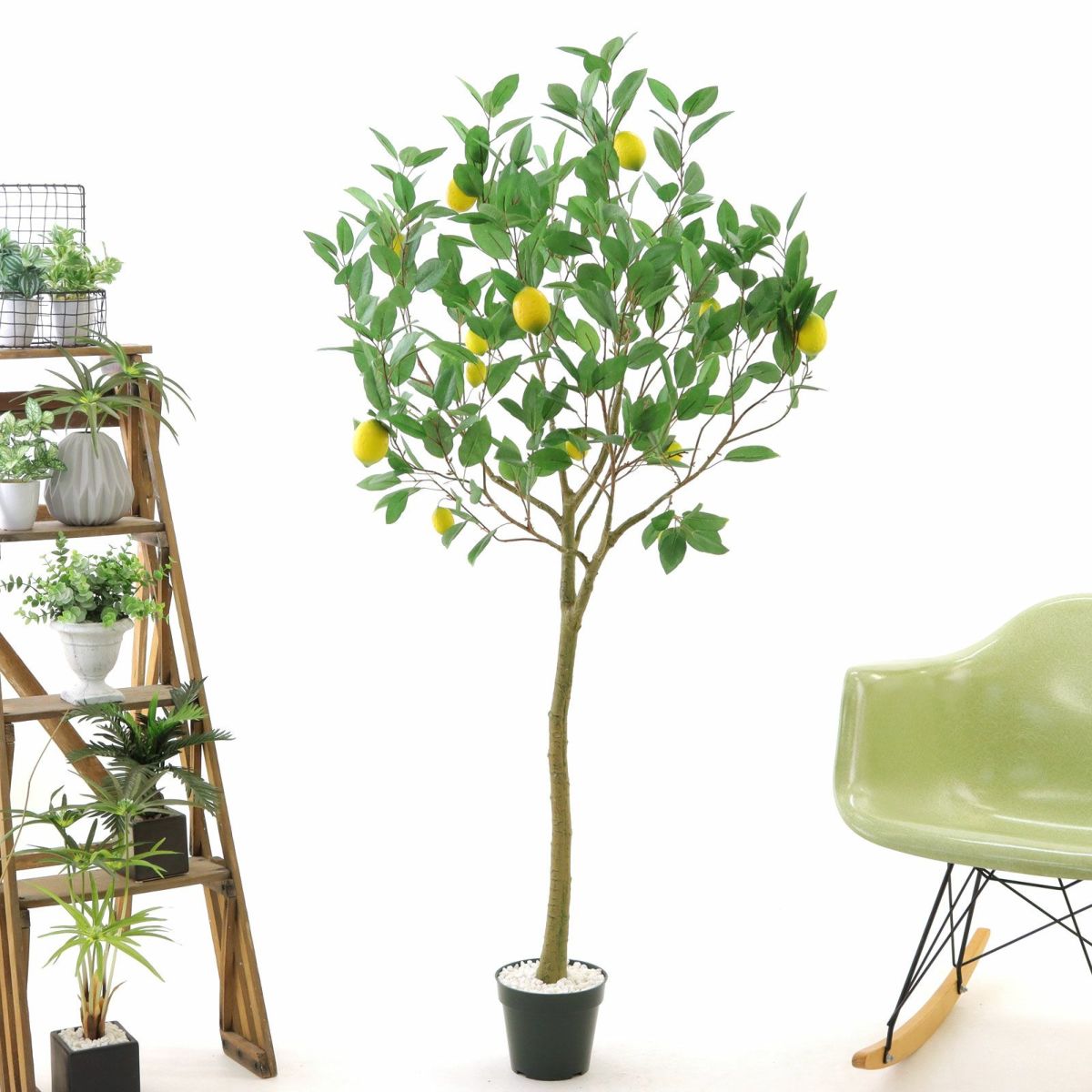 プラ鉢（+0円）