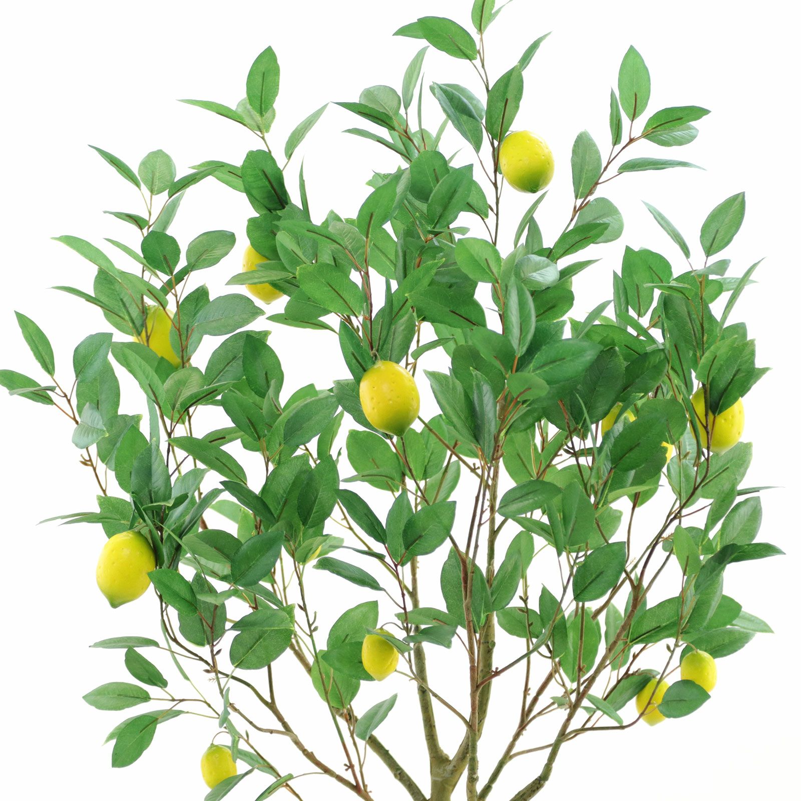 光触媒　人工観葉植物　ウォールグリーン　フェイクグリーン　レモン1.25 Amazon｜フェイクグリーン 観覧植物 人工レモンの木 背の高い
