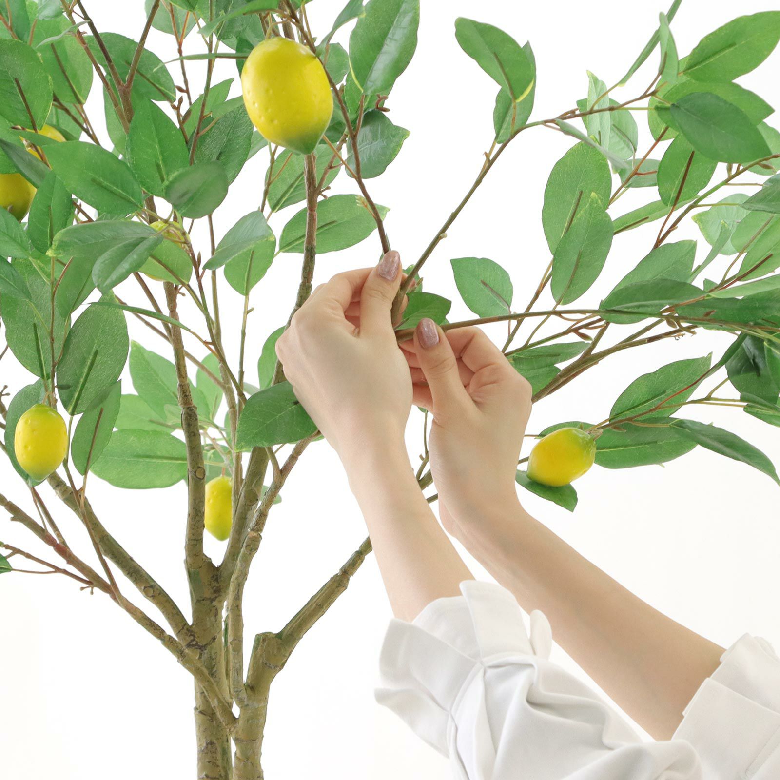 000000000178-16.jpg?t=