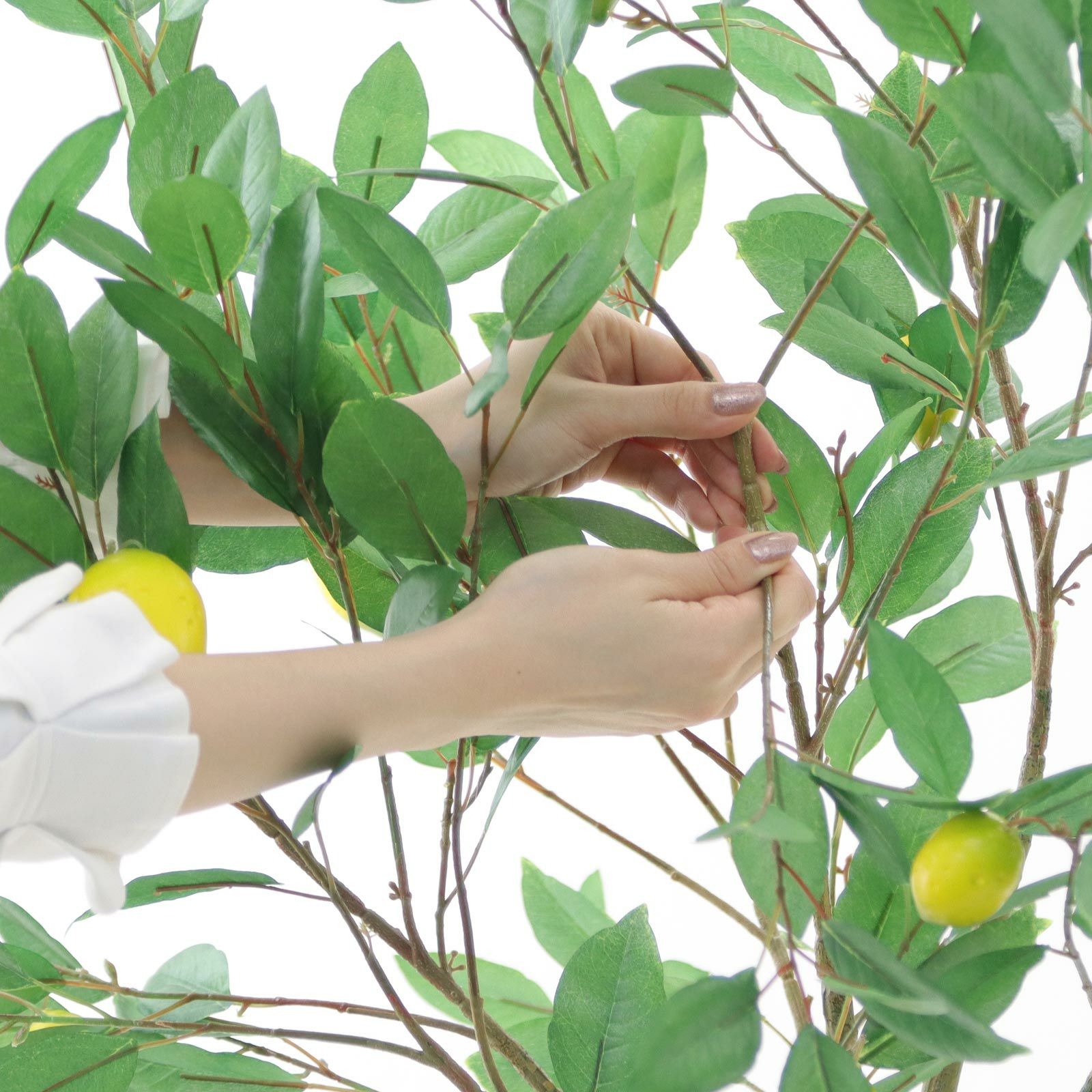 光触媒　人工観葉植物　ウォールグリーン　フェイクグリーン　レモン1.25m No8435 プレミアム光触媒フェイクグリーン 「つややかな葉と実の