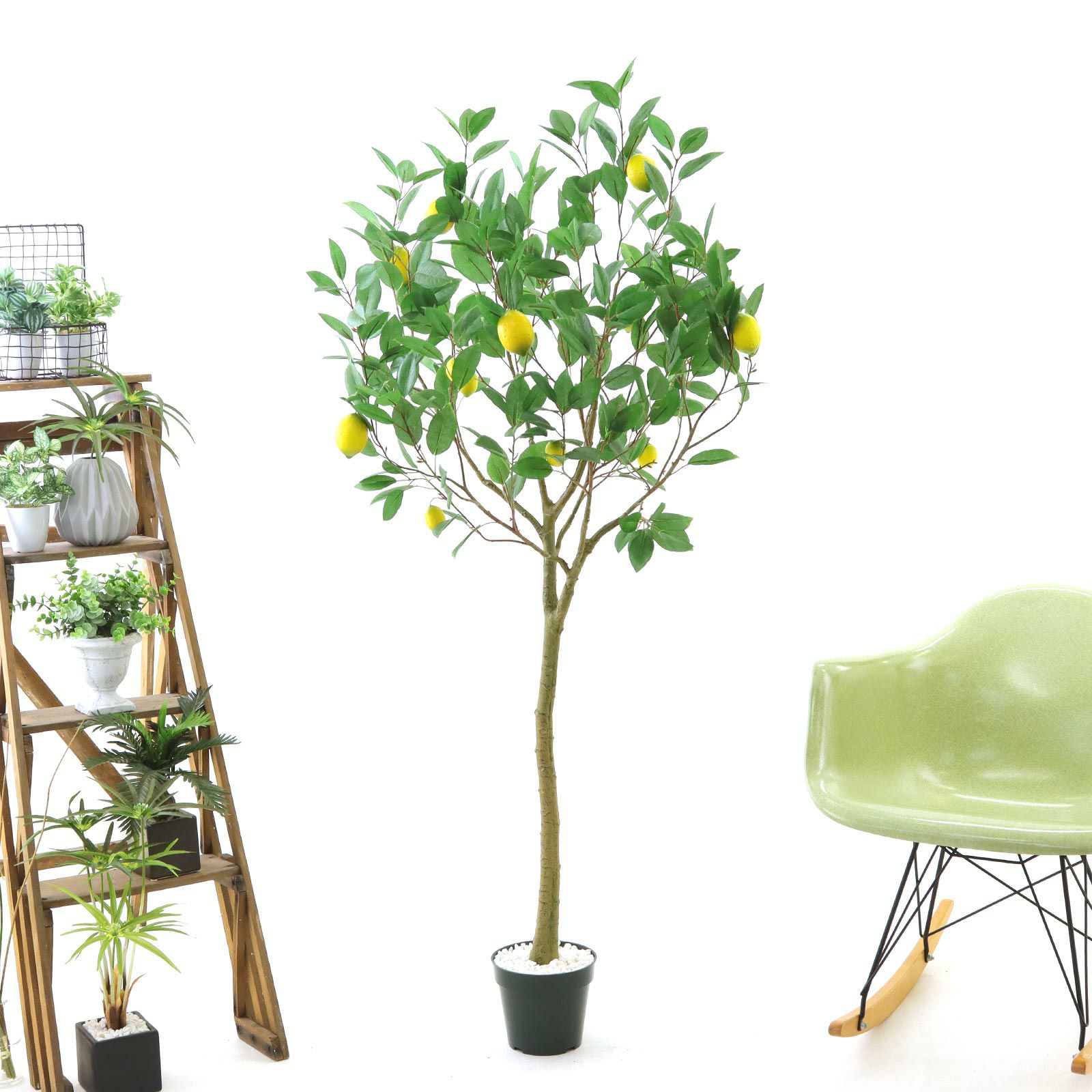 000000000178-25.jpg?t=