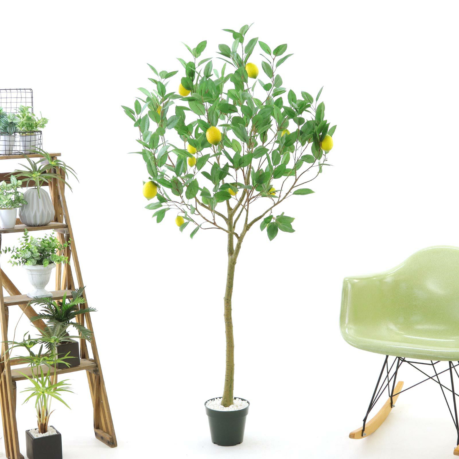 光触媒　人工観葉植物　ウォールグリーン　フェイクグリーン　レモン1.25 Amazon｜フェイクグリーン 観覧植物 人工レモンの木 背の高い