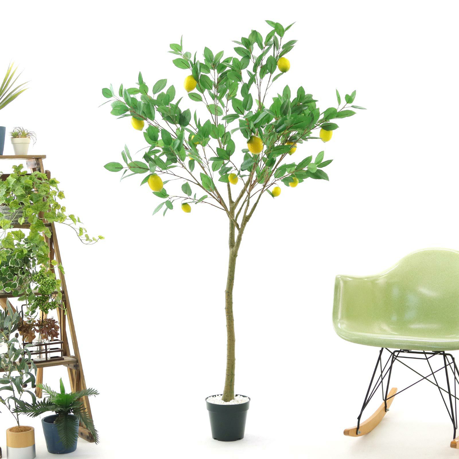 000000000178-27.jpg?t=