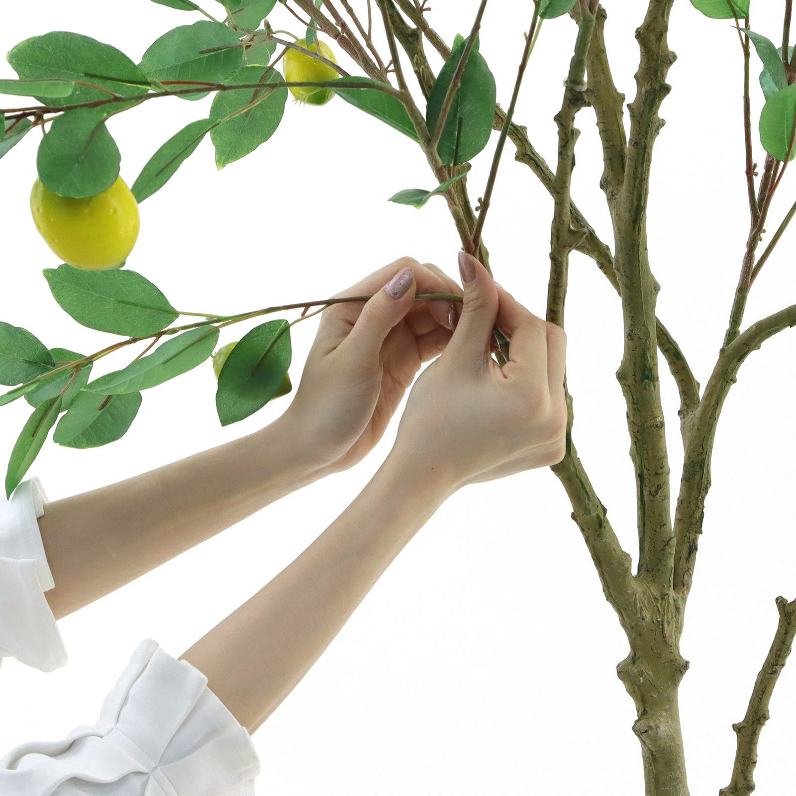 光触媒　人工観葉植物　ウォールグリーン　フェイク　アレンジ　レモンリーフ 光触媒 人工観葉植物 ウォールグリーン フェイク アレンジ