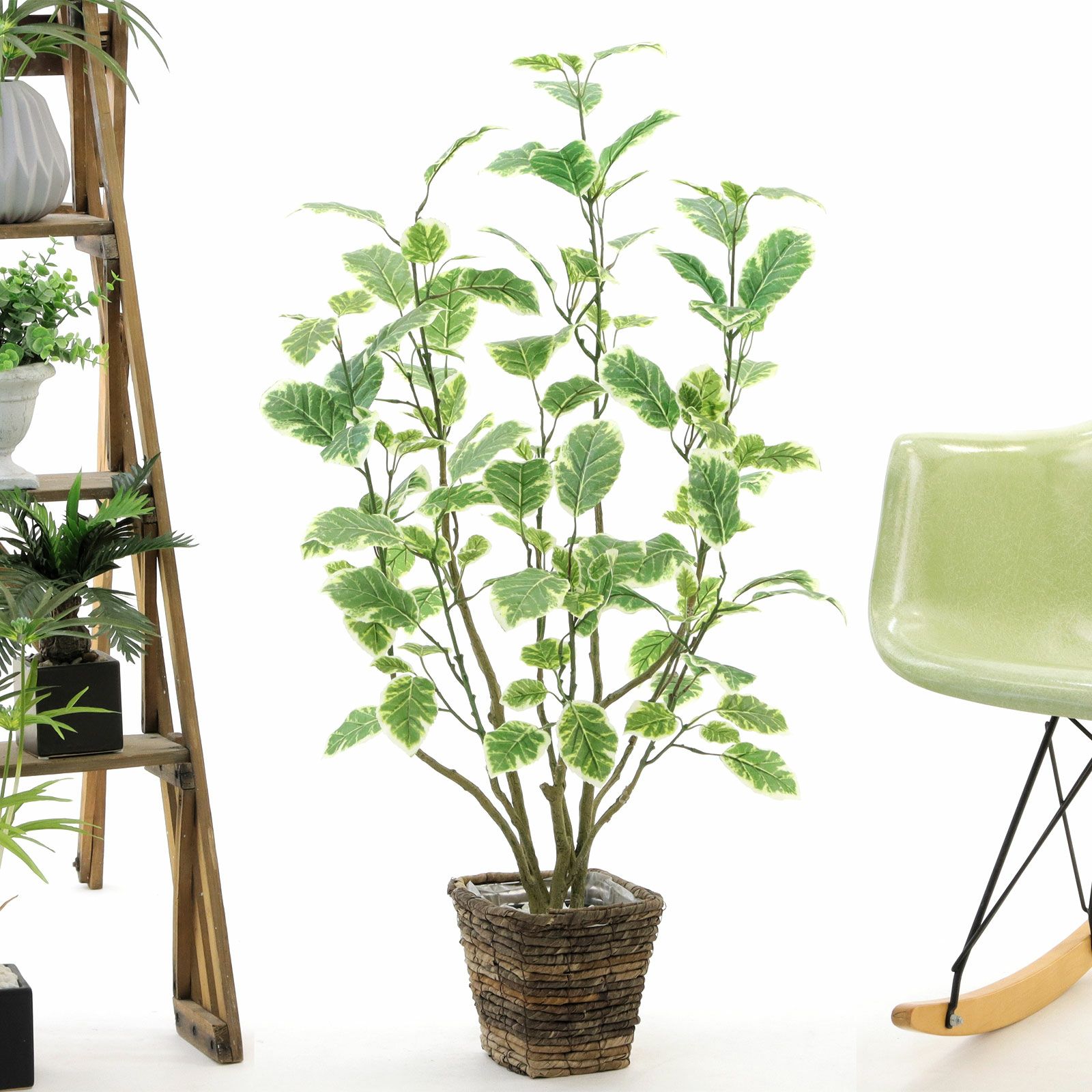 光触媒　人工観葉植物　ウォールグリーン　フェイク　フラワー　コーヒーの木実付き コーヒーの木 | プレミアム光触媒フェイクグリーン 造花ドット