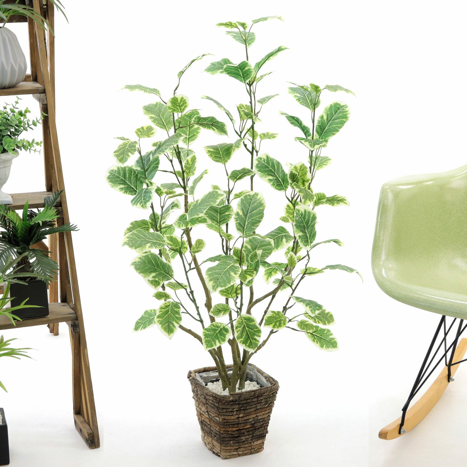 No8437 プレミアム光触媒フェイクグリーン 「斑入りの葉が揺れる