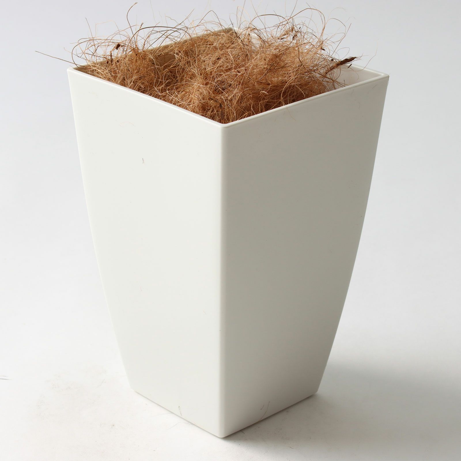 No8437 プレミアム光触媒フェイクグリーン 「斑入りの葉が揺れる