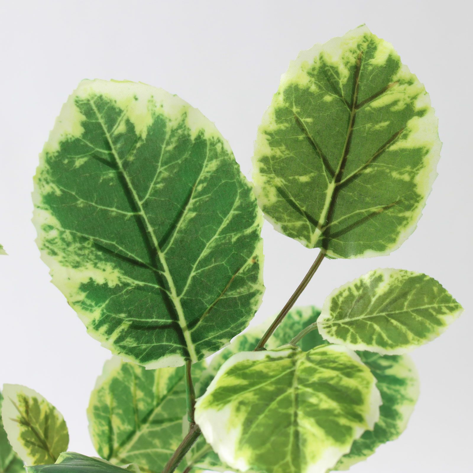 コーヒーの木 | プレミアム光触媒フェイクグリーン 造花ドットコム