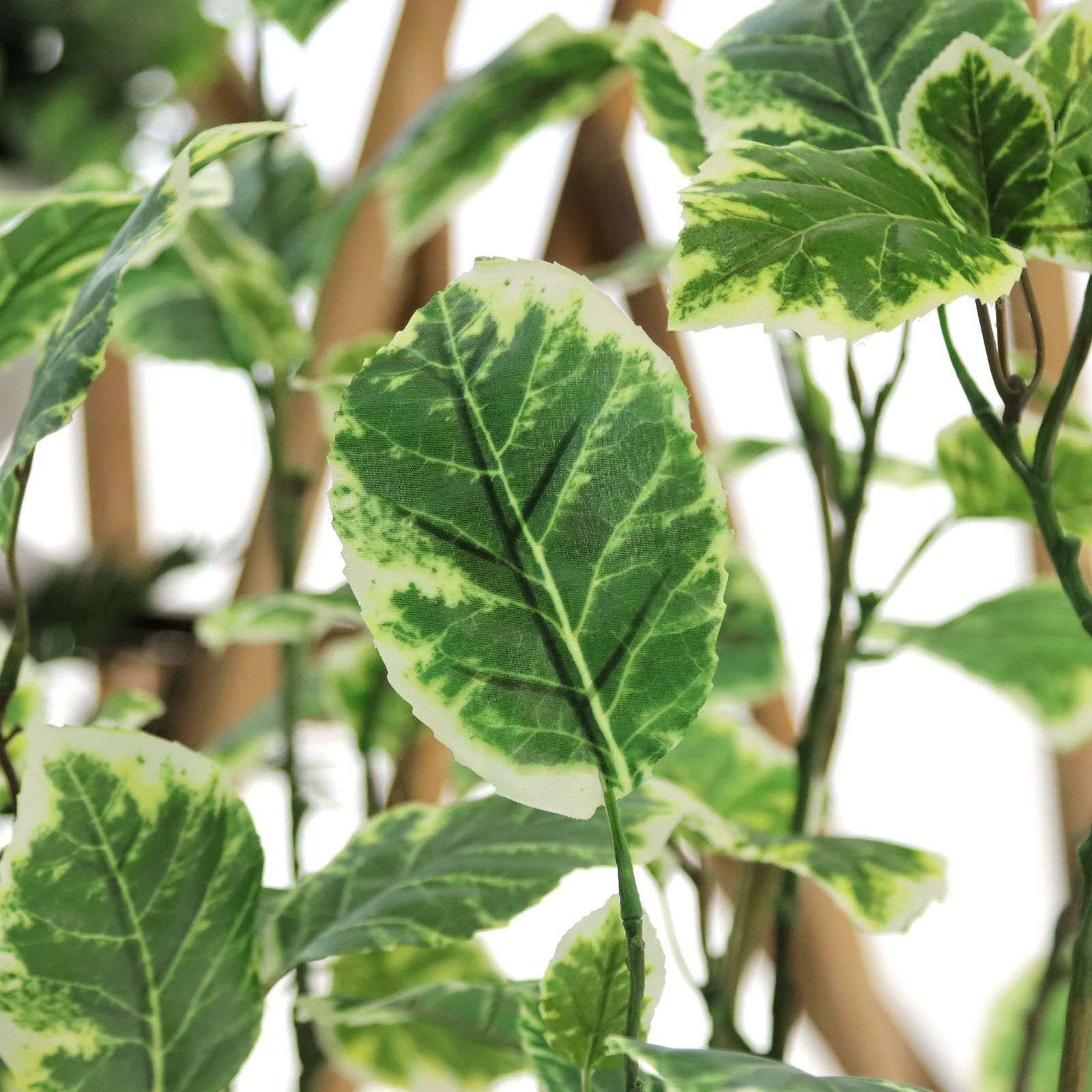 No8437 プレミアム光触媒フェイクグリーン 「斑入りの葉が揺れる