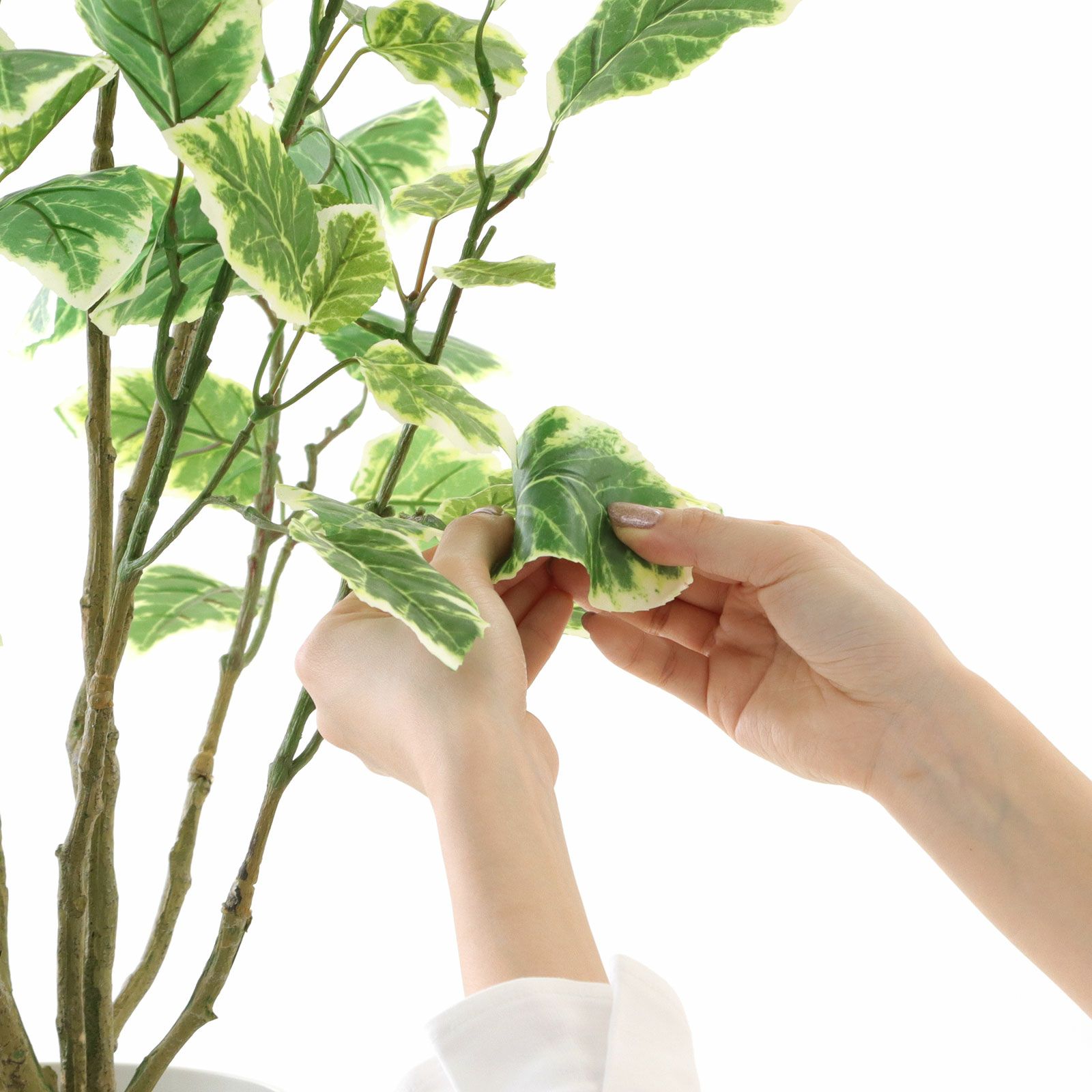 000000000180-15.jpg?t=