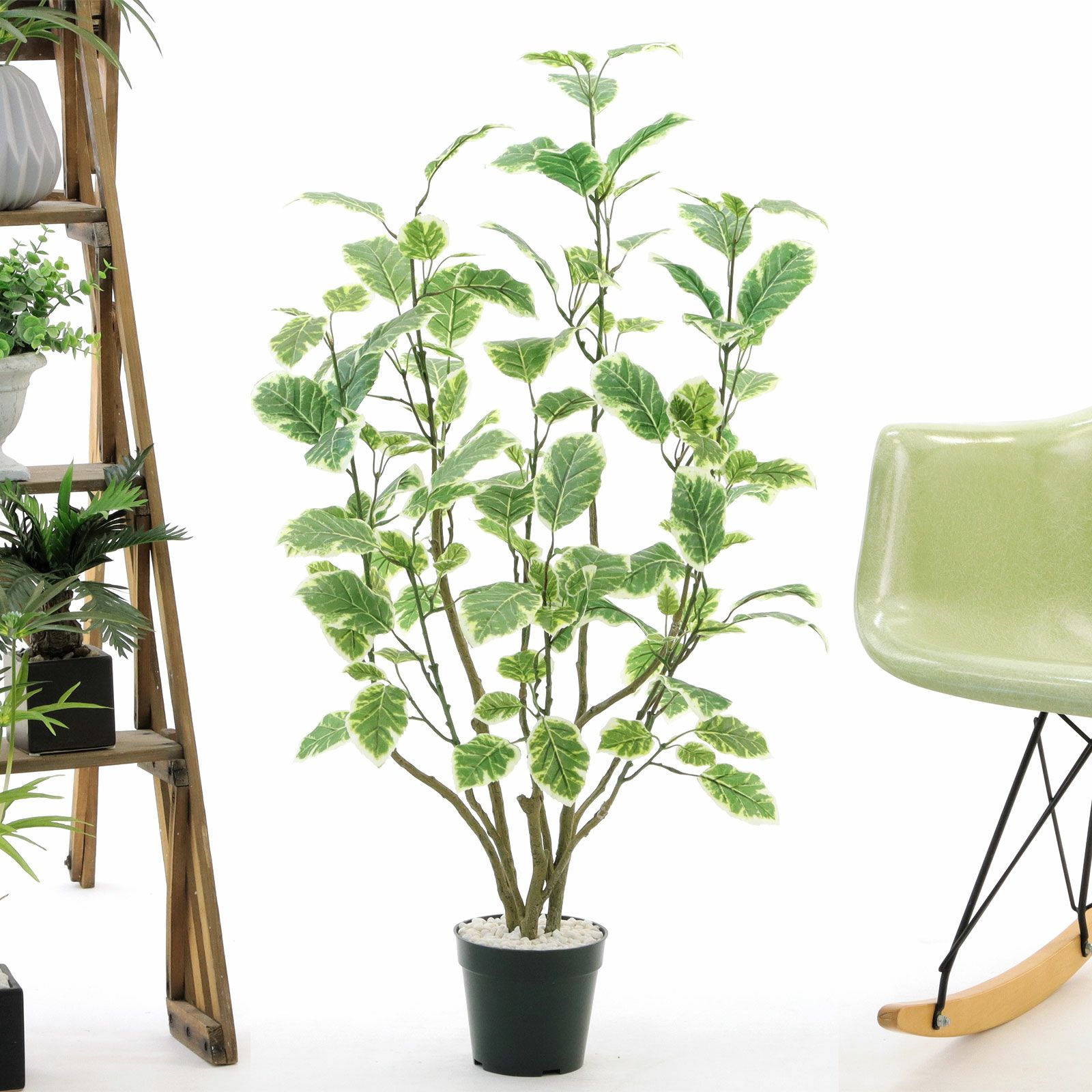 No8437 プレミアム光触媒フェイクグリーン 「斑入りの葉が揺れる