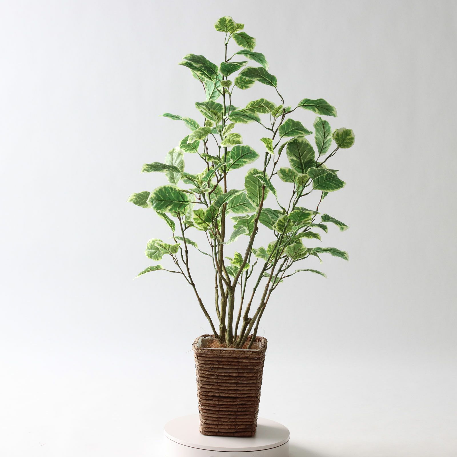 高さ100cm 幅50cm 奥行50cm