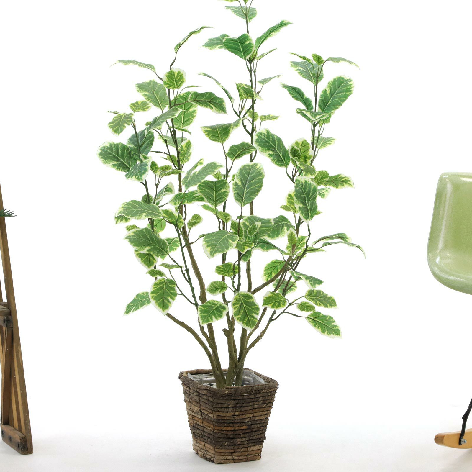 No8437 プレミアム光触媒フェイクグリーン 「斑入りの葉が揺れる