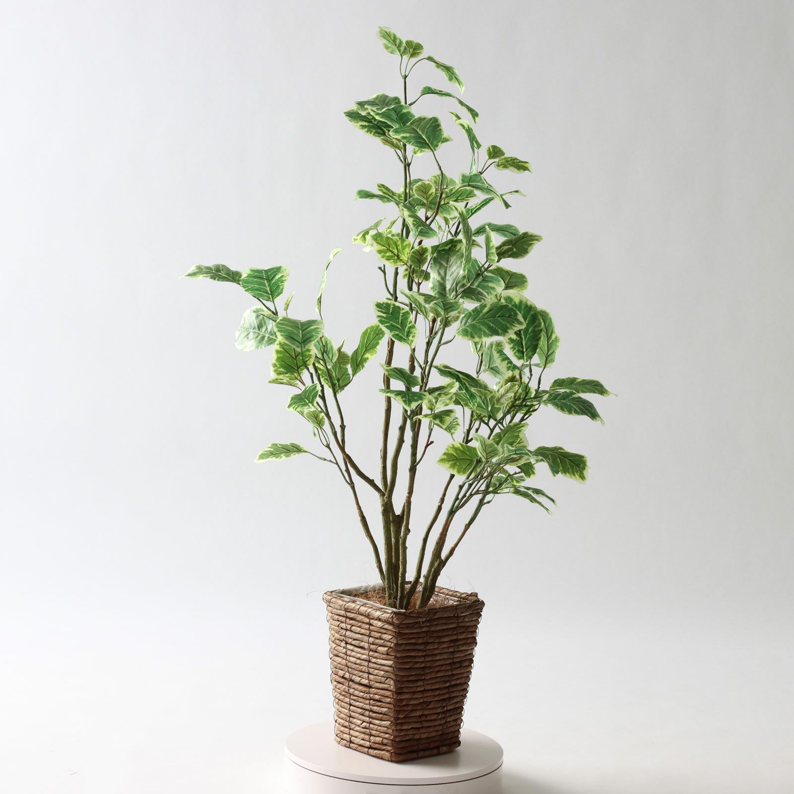 さらに広げると 幅60cm 奥行60cm