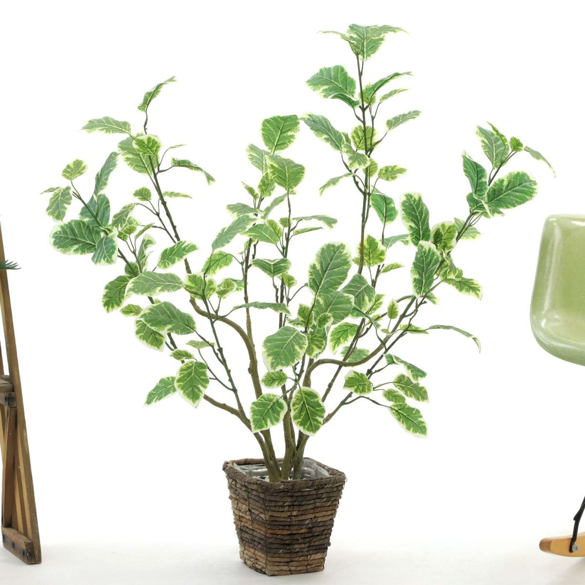 もっと広げると 80cm 奥行65cm