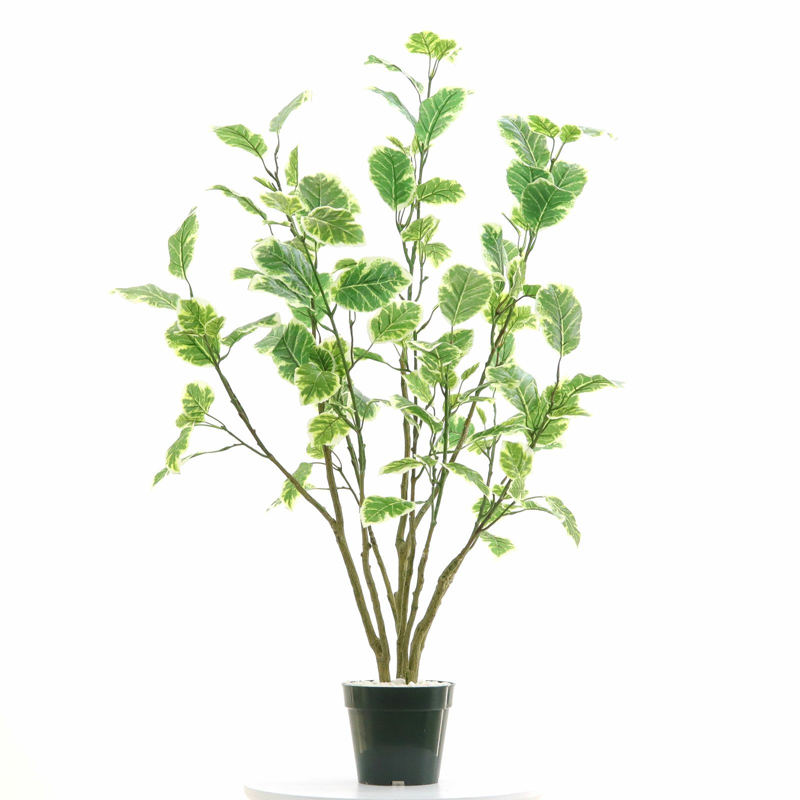 No8437 プレミアム光触媒フェイクグリーン 「斑入りの葉が揺れる