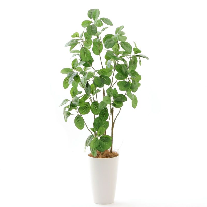 光触媒人工観葉植物フェイクグリーンヤマモミジ GREEN コアッド230