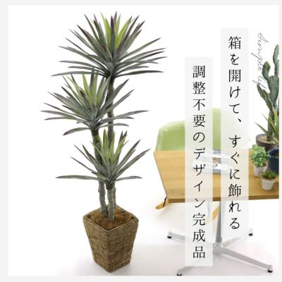 No9380designed プレミアム光触媒フェイクグリーン「シャープな葉 × 力強く立ち上がる完成フォルム　そのまま飾って決まる ドラセナ・ユッカ 高さ160cm 幅70cm 奥行60cm」