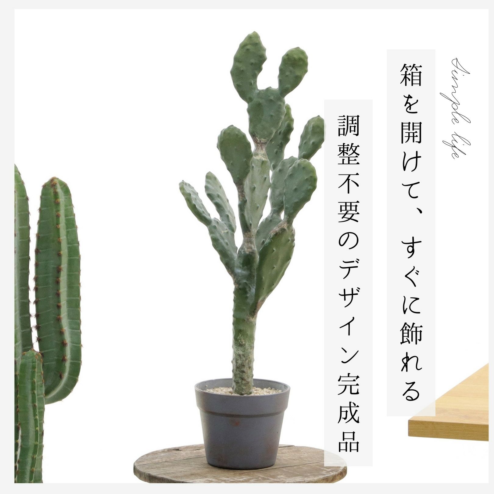 新商品のご紹介