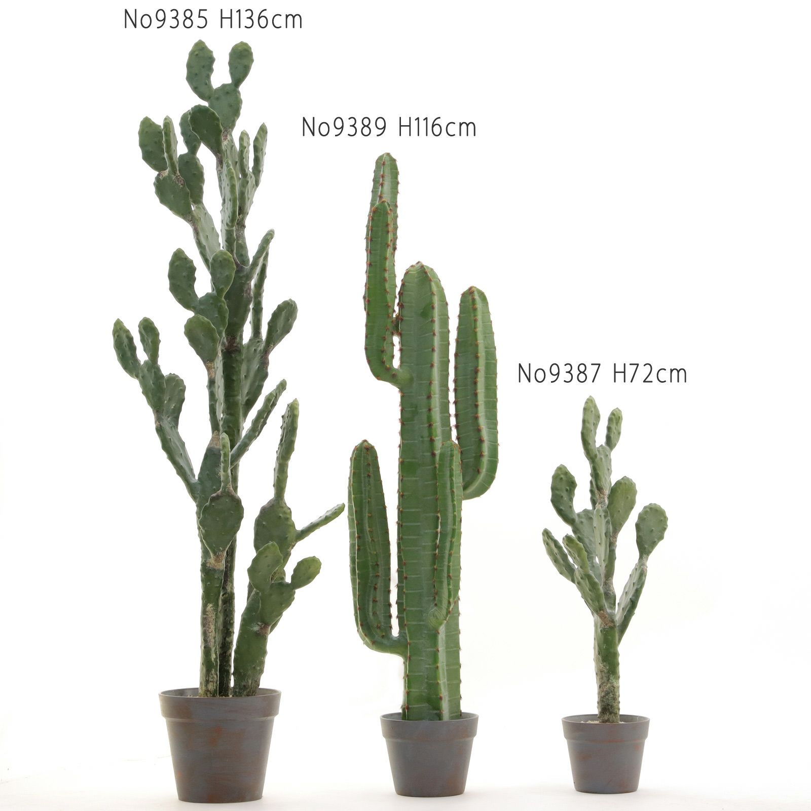 自己主張する植物 Amazonで人気の植物育成ライト「SINJIAlight 120W(暖色系