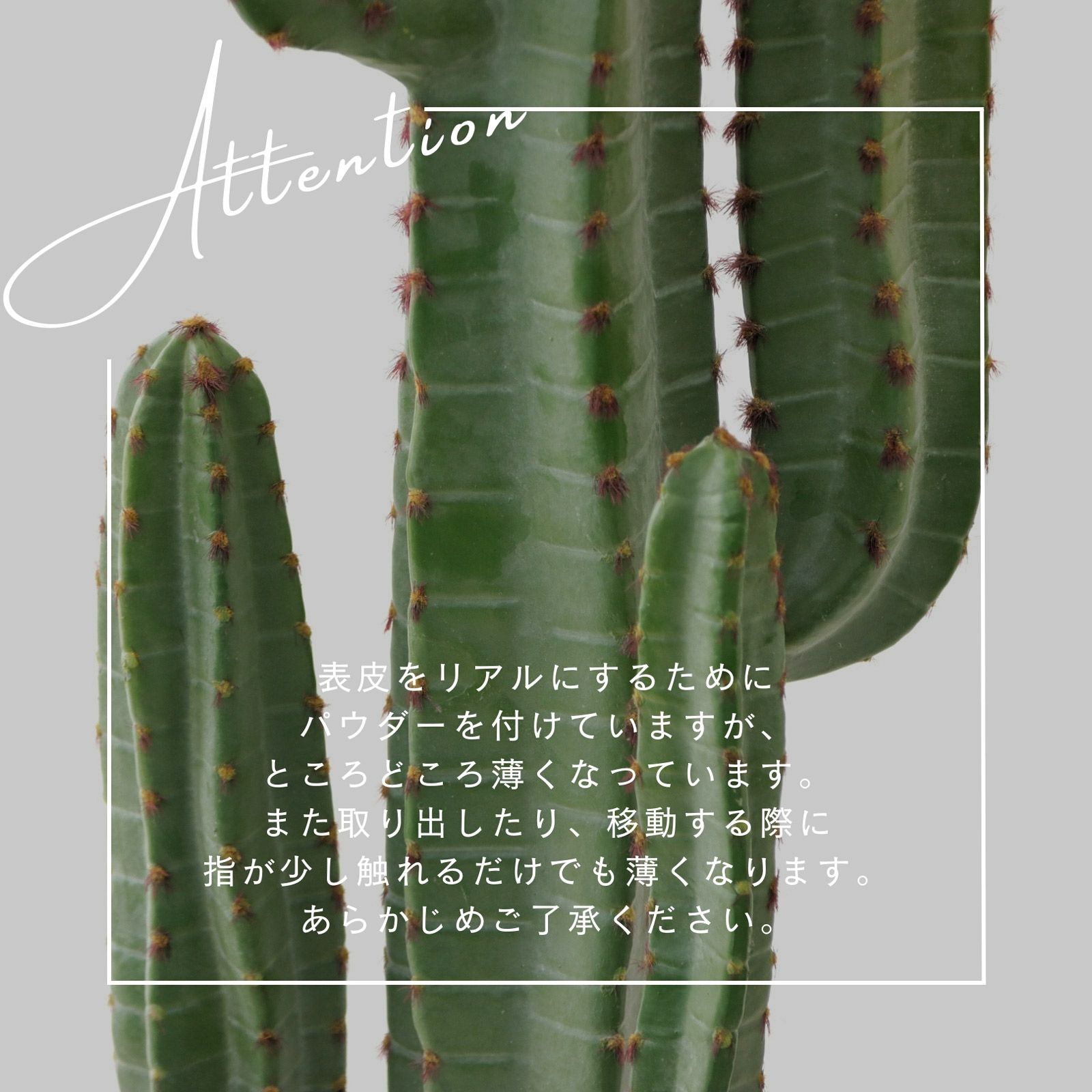 サボテン　フェイクグリーン 楽天市場】サボテン フェイク グリーン 柱サボテン バスケット付