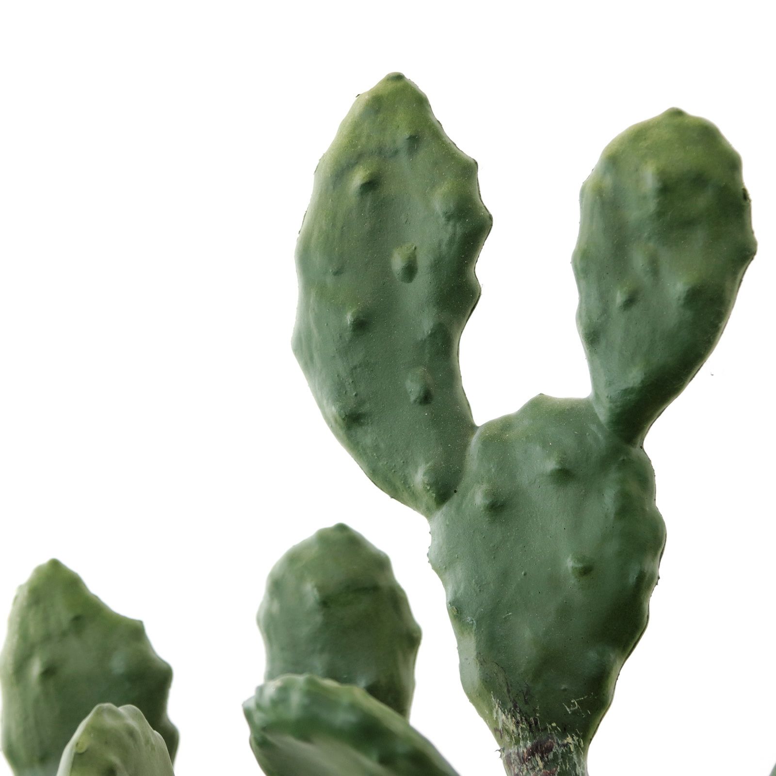 光触媒　人工観葉植物　ウォールグリーン　フェイクグリーン　ウチワサボテンz 光触媒 人工観葉植物 ウォールグリーン フェイクグリーン ウチワ