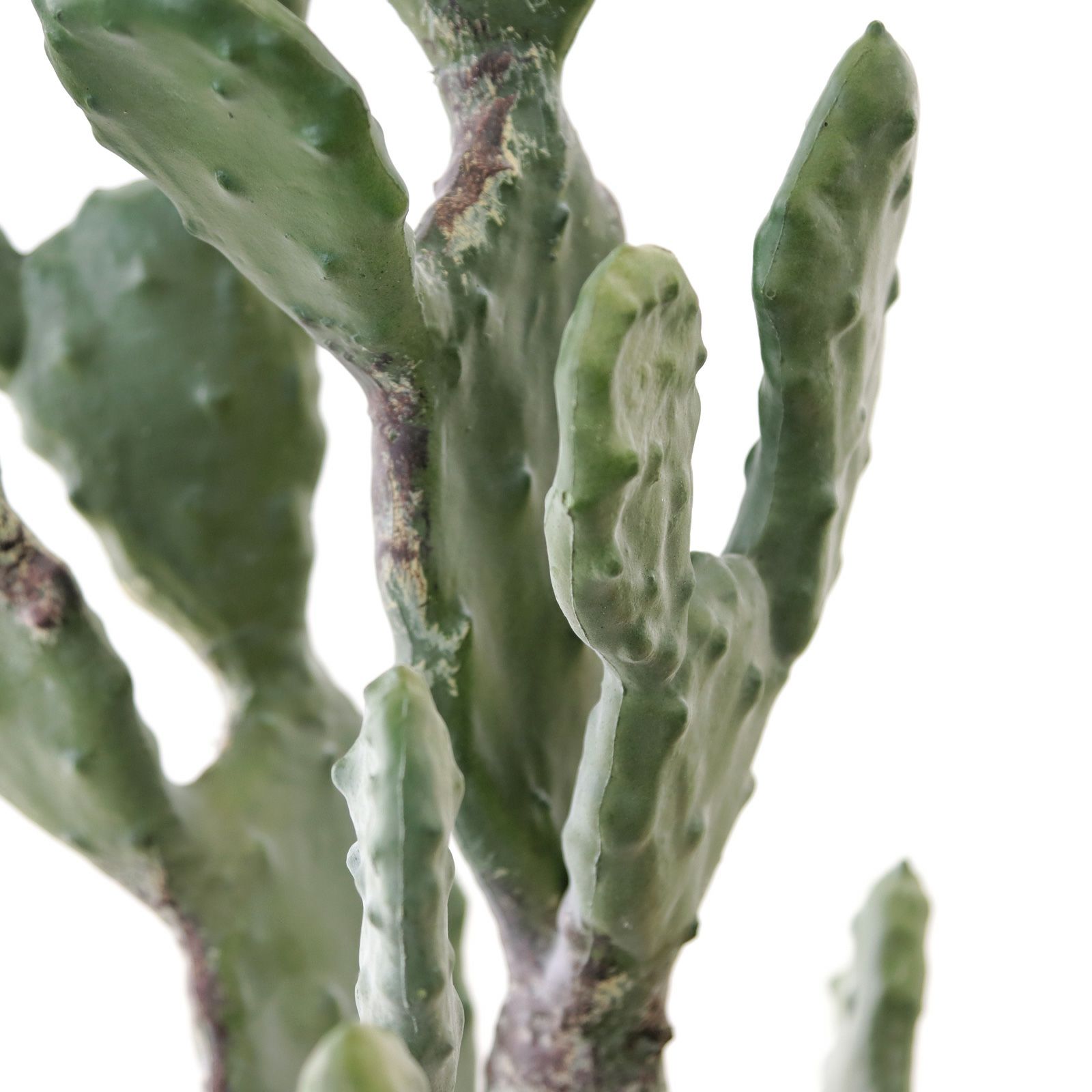 No9385 大人の空間に映える リアル フェイクグリーン 「洗練され