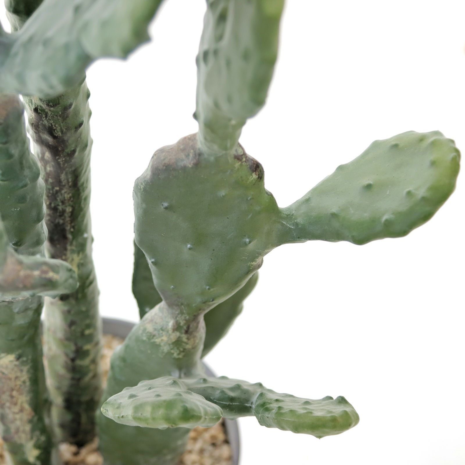 No9385 大人の空間に映える リアル フェイクグリーン 「洗練された