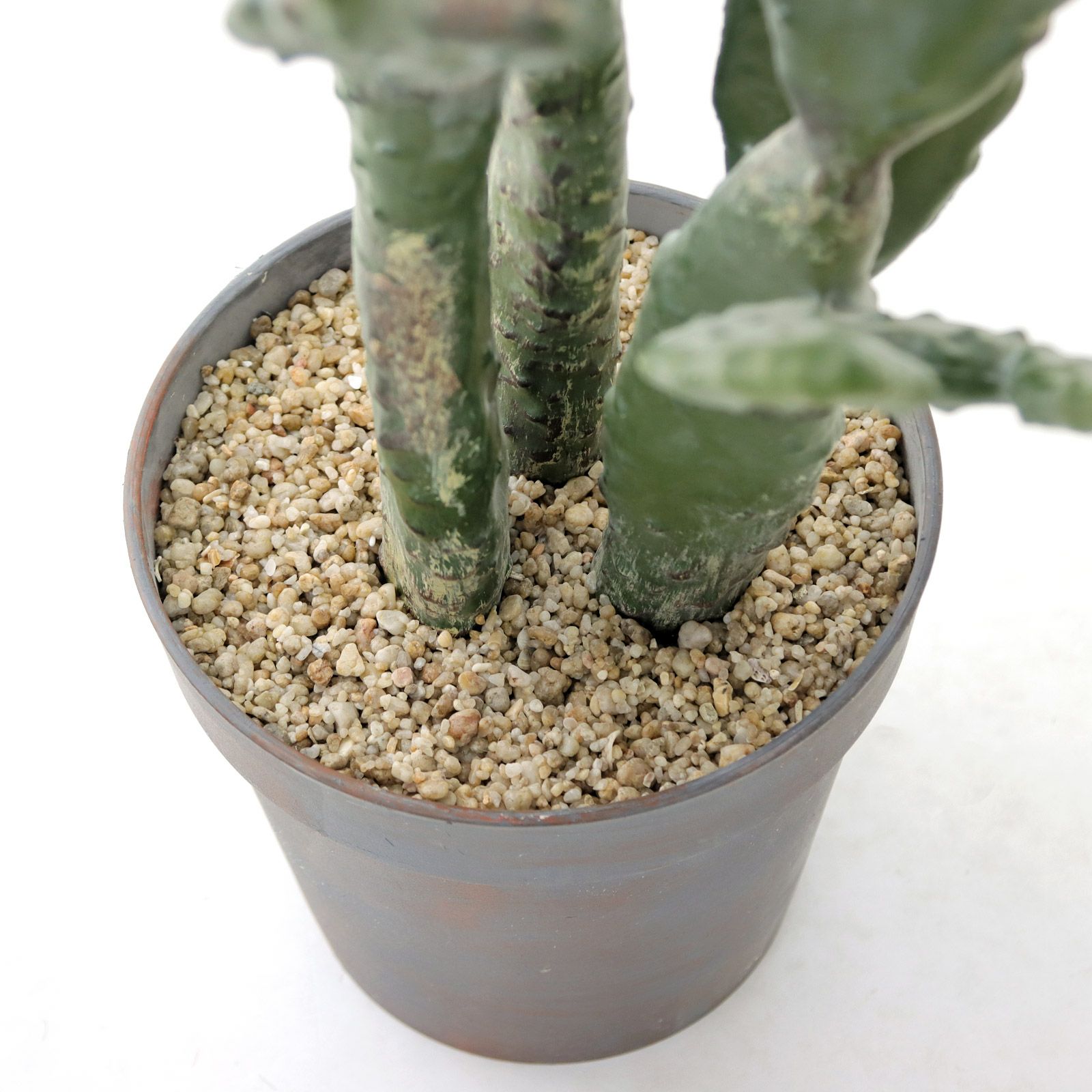 No9385 大人の空間に映える リアル フェイクグリーン 「洗練された