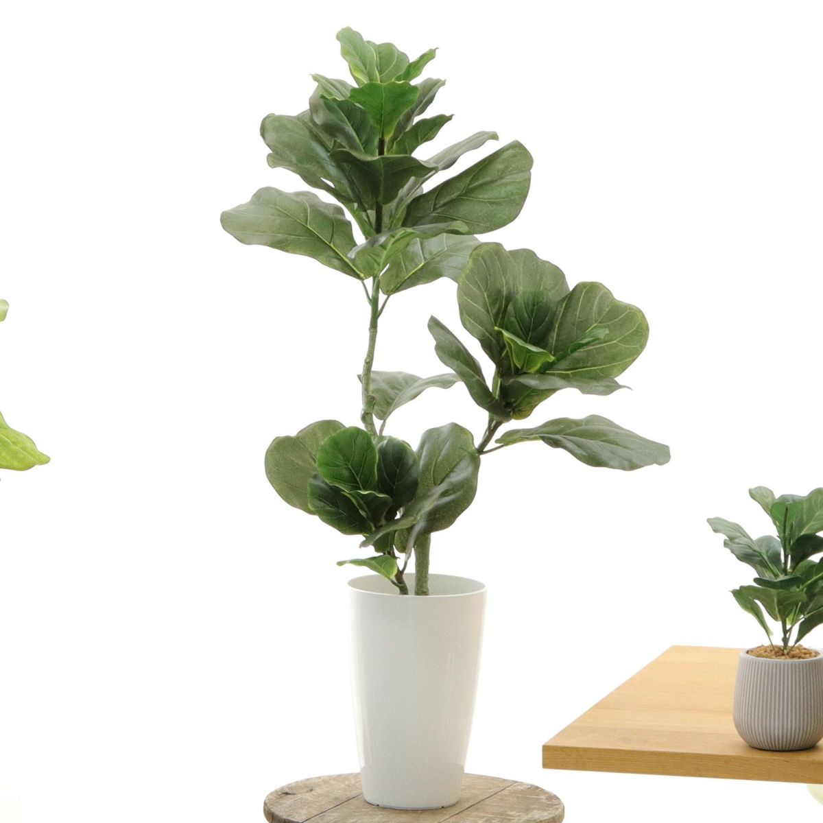 白丸ポット CHIC7丸（＋500円）