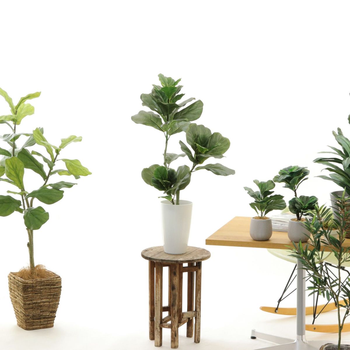 白丸ポット CHIC7丸（＋500円）