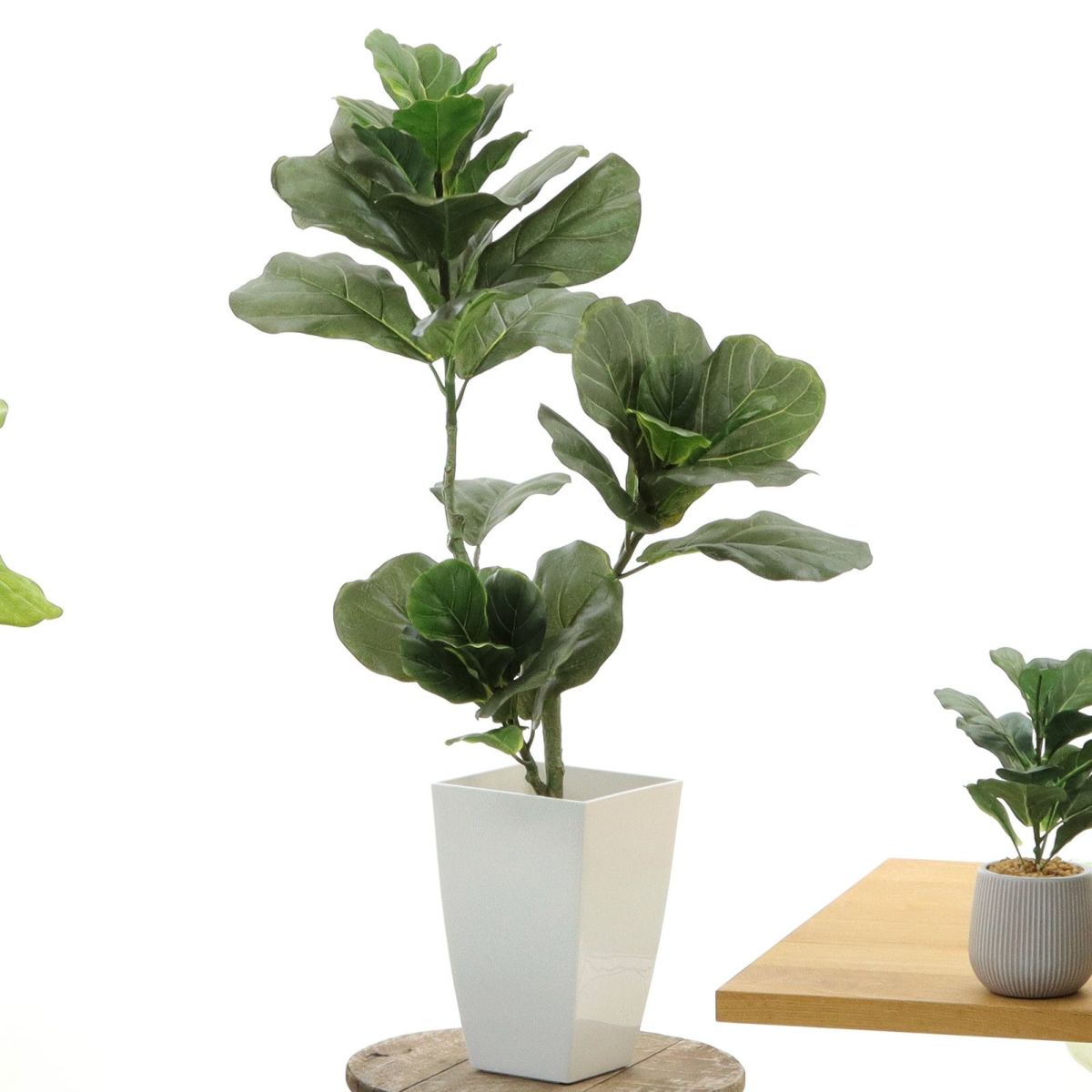 白角ポット CHIC7角（＋500円）