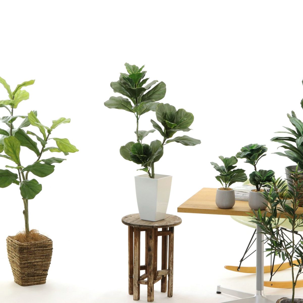 白角ポット CHIC7角（＋500円）