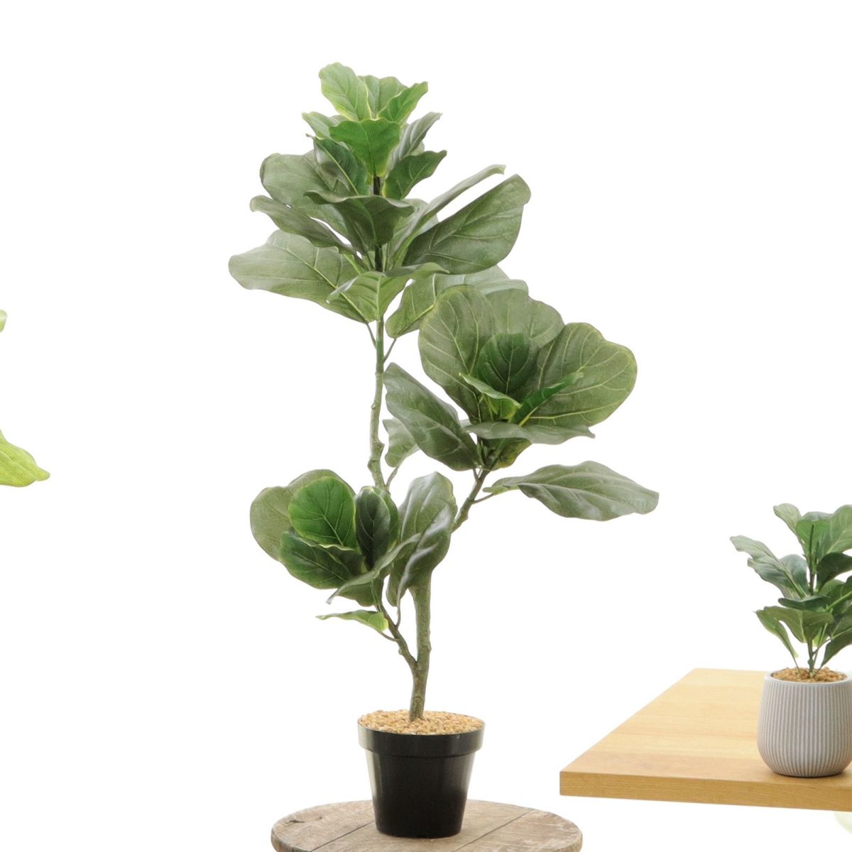 プラ鉢 黒（＋0円）