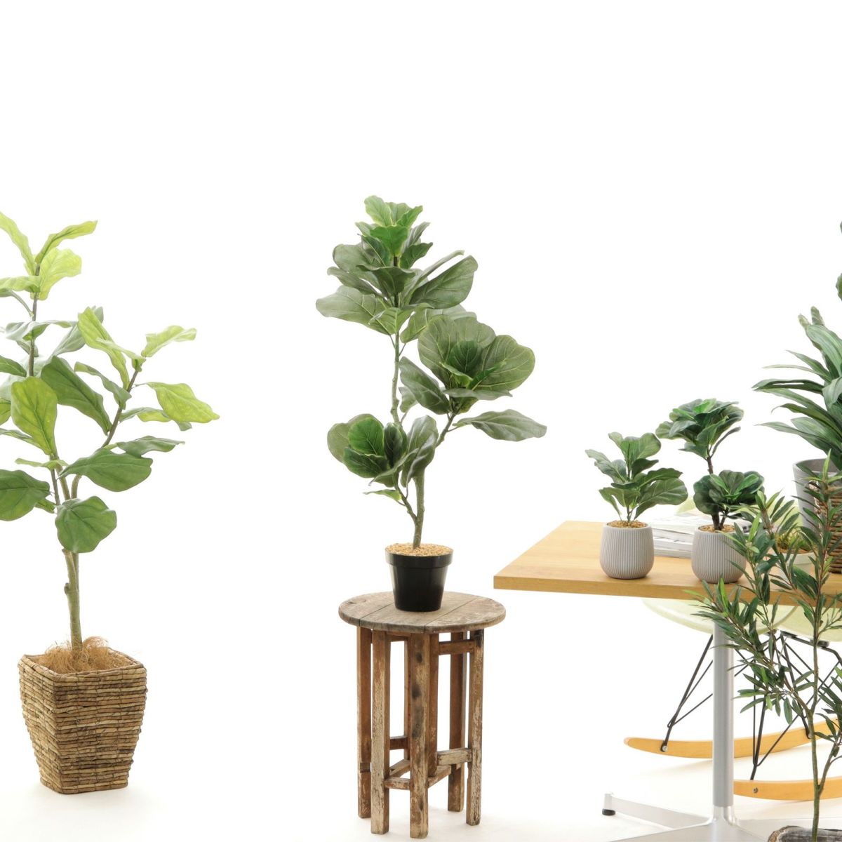 プラ鉢 黒（＋0円）