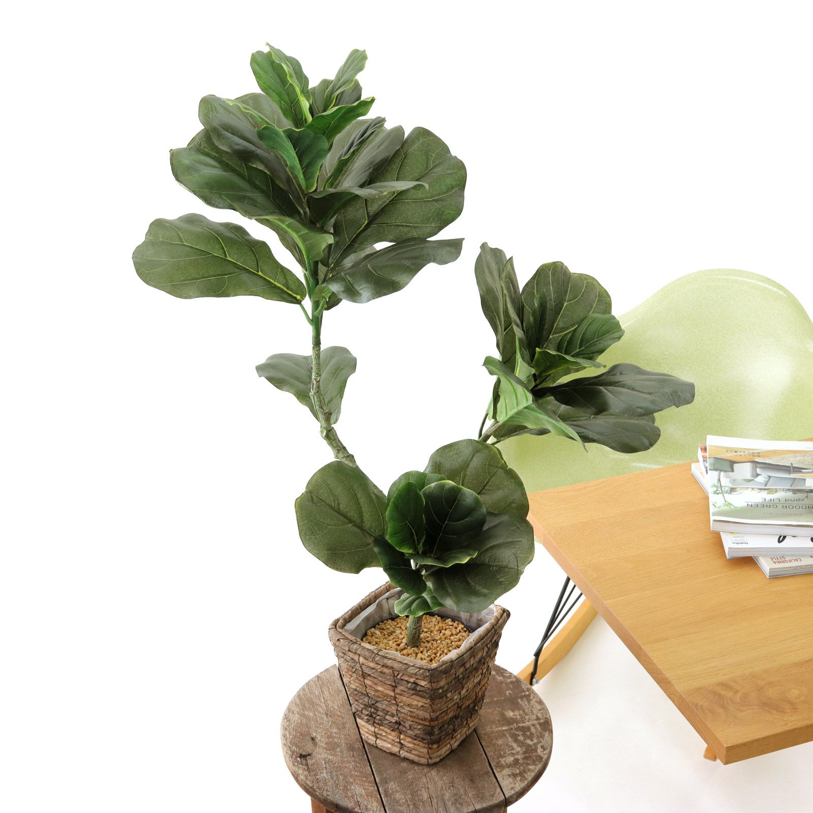 No8440 プレミアム光触媒フェイクグリーン 「大きな葉が魅せる存在感