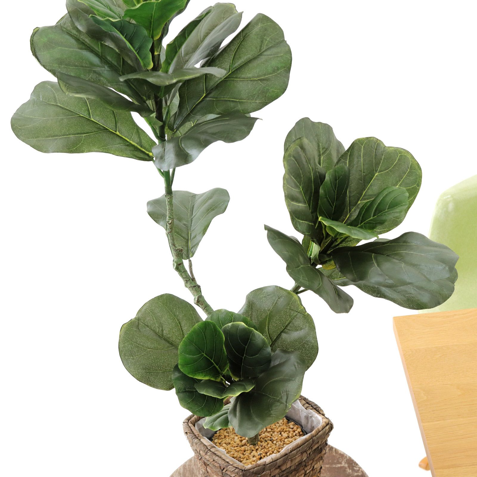 No8440 プレミアム光触媒フェイクグリーン 「大きな葉が魅せる存在感