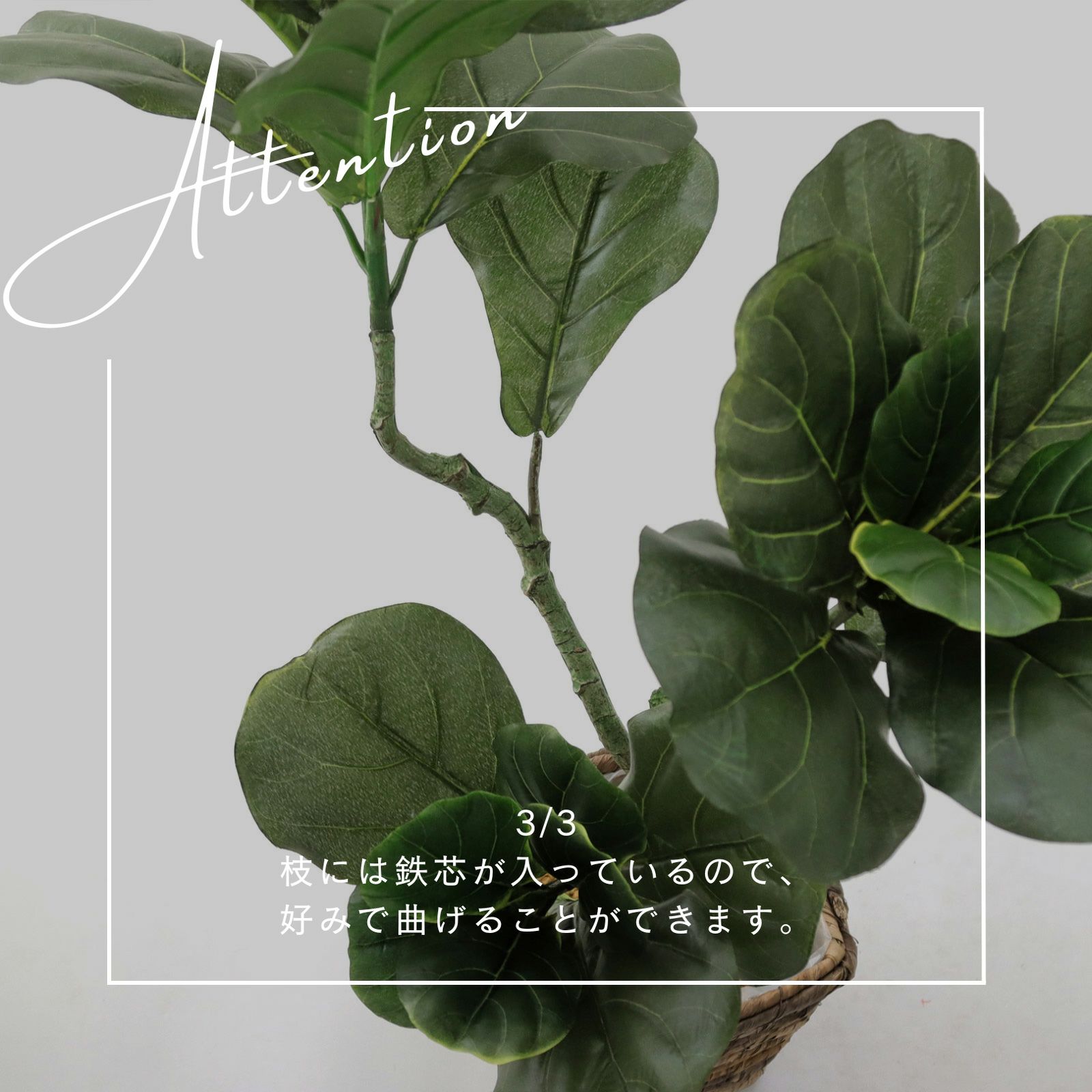 No8440 プレミアム光触媒フェイクグリーン 「大きな葉が魅せる存在感