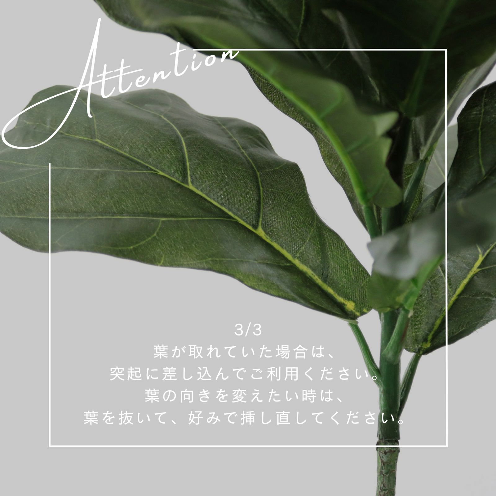 No8440 プレミアム光触媒フェイクグリーン 「大きな葉が魅せる存在感