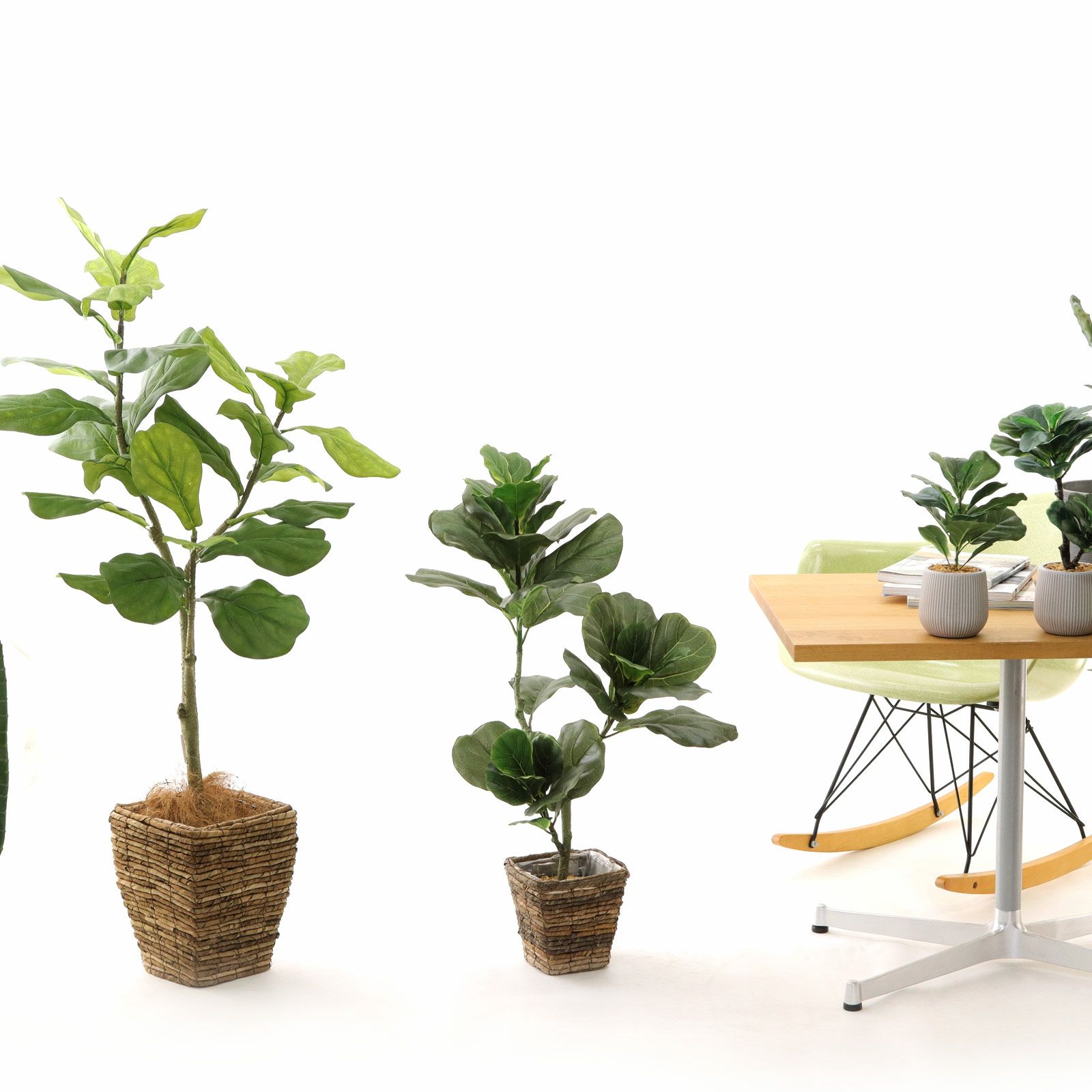 No8440 プレミアム光触媒フェイクグリーン 「大きな葉が魅せる存在感