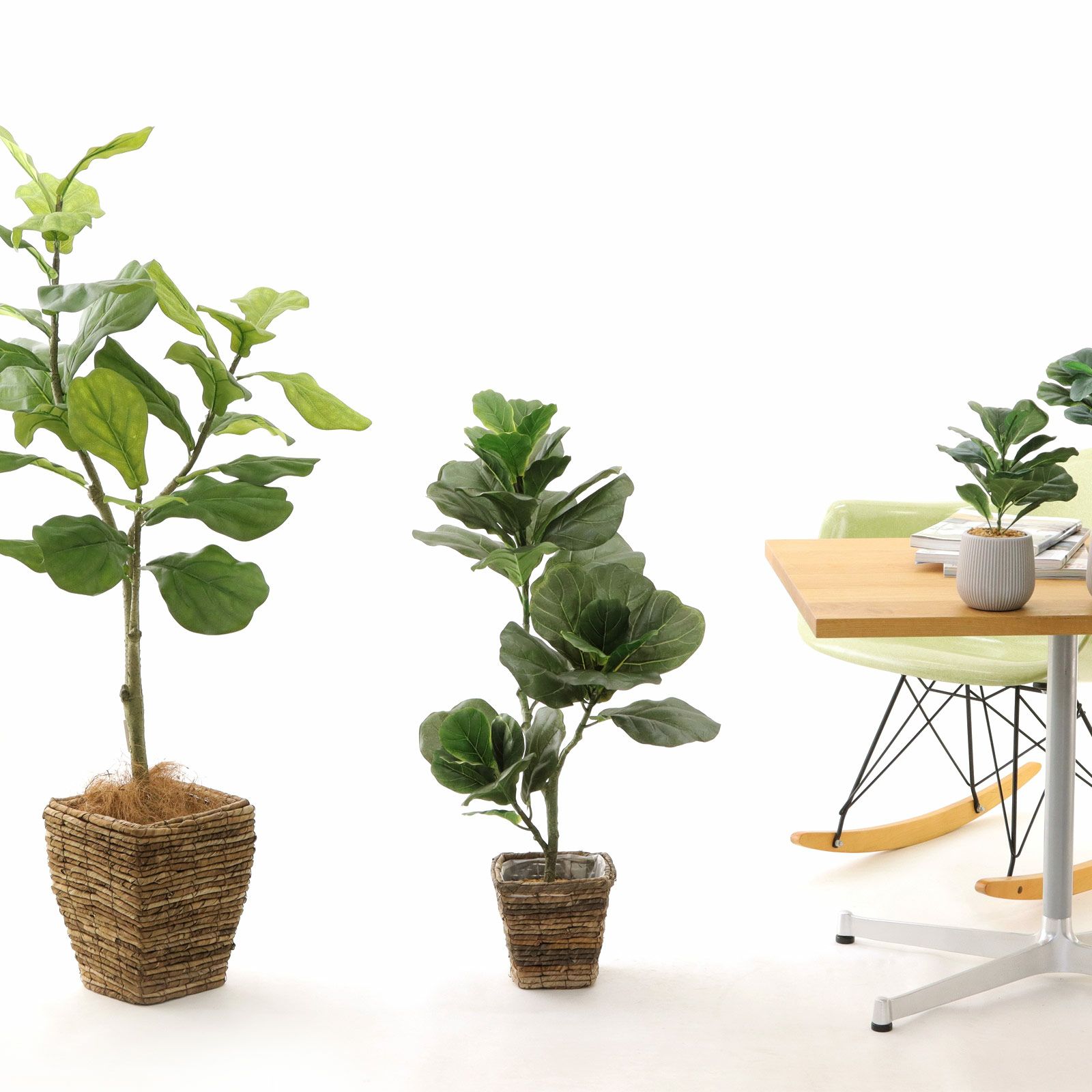 光触媒 人工観葉植物 フェイクグリーン ベンガルボダイジュコアッド