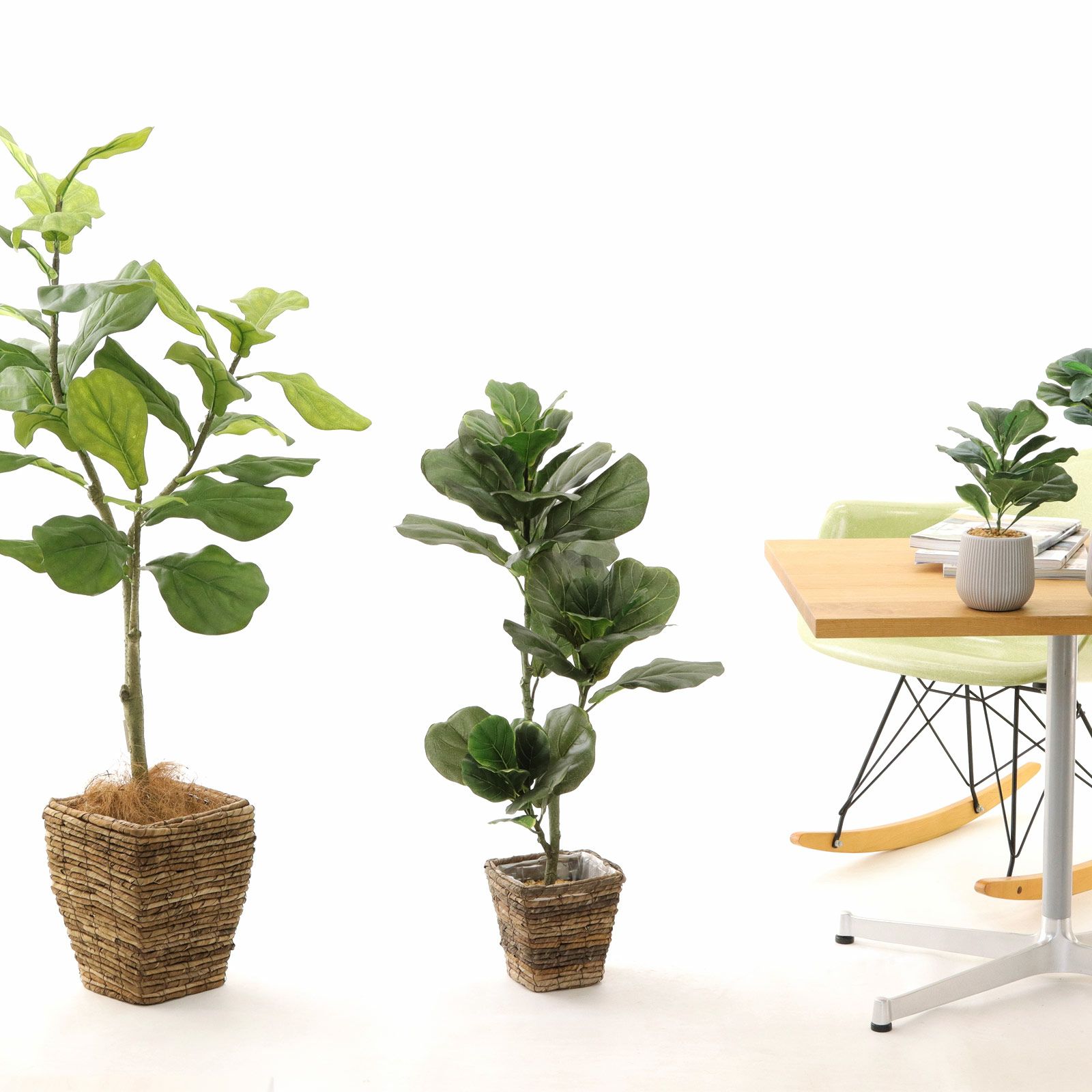 光触媒　人工観葉植物　ウォールグリーン　フェイクグリーン　ショウナンゴム148 No8440 プレミアム光触媒フェイクグリーン 「大きな葉が魅せる