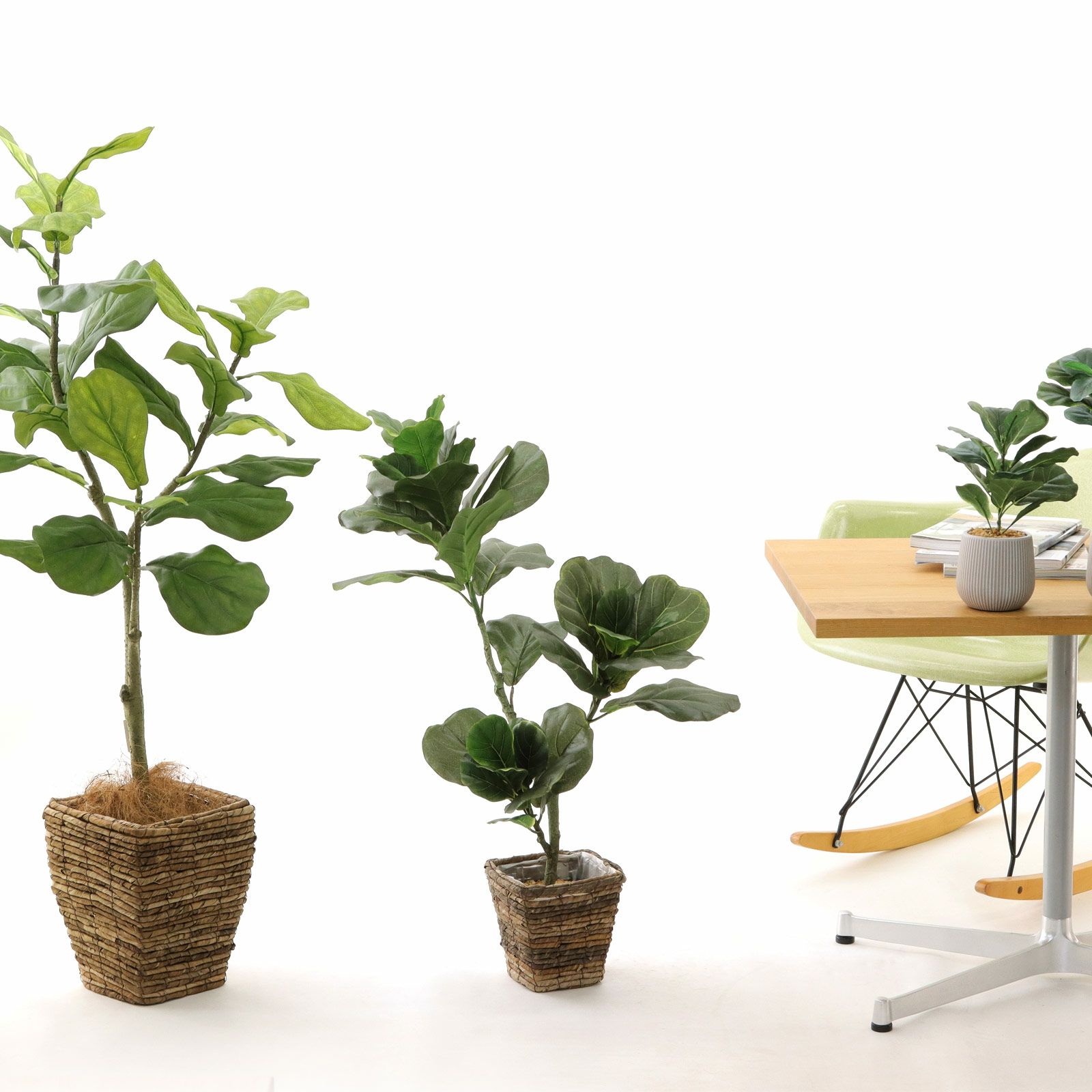 No8440 プレミアム光触媒フェイクグリーン 「大きな葉が魅せる