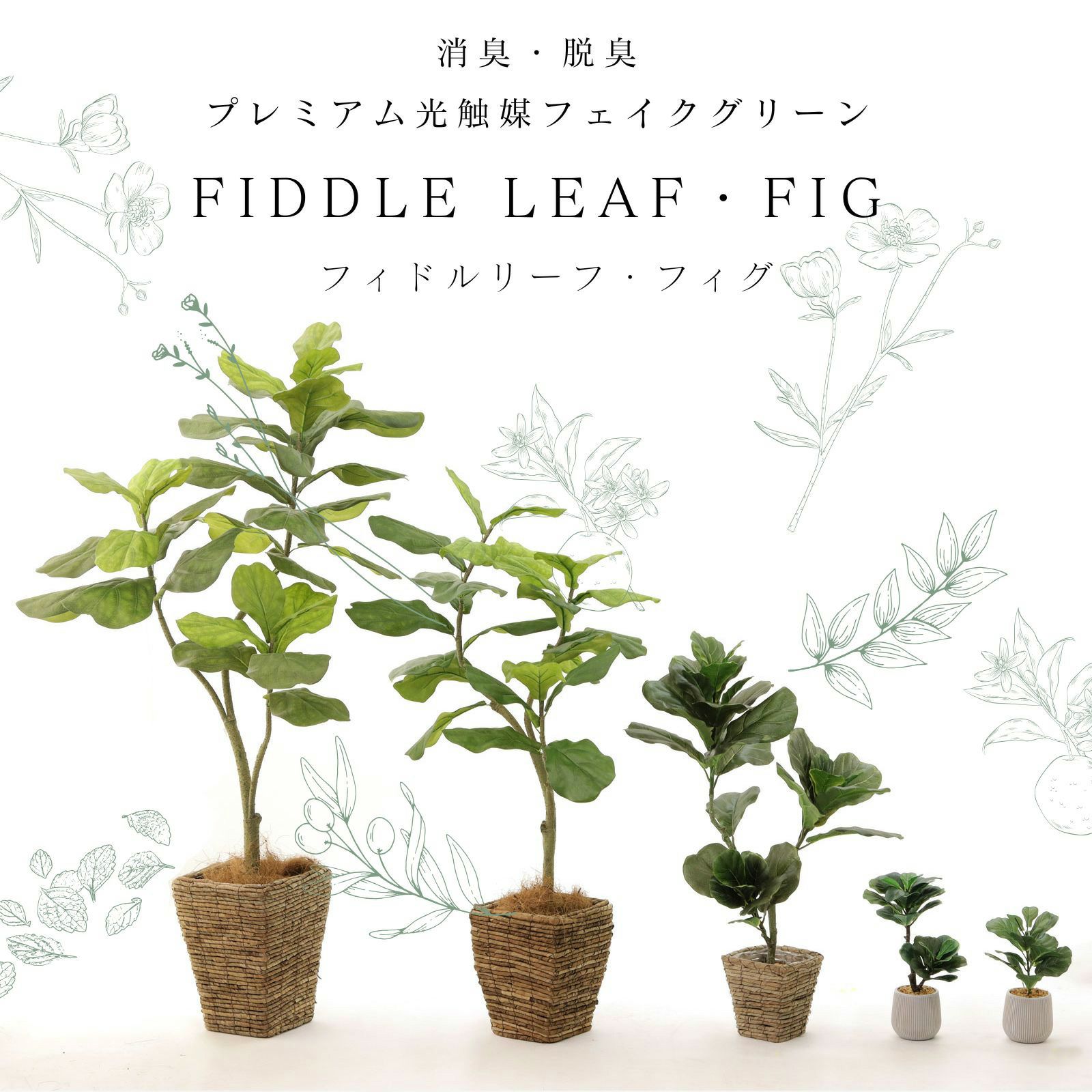 光触媒　人工観葉植物　ウォールグリーン　フェイクグリーン　ショウナンゴム148 光触媒 人工観葉植物 ウォールグリーン フェイクグリーン