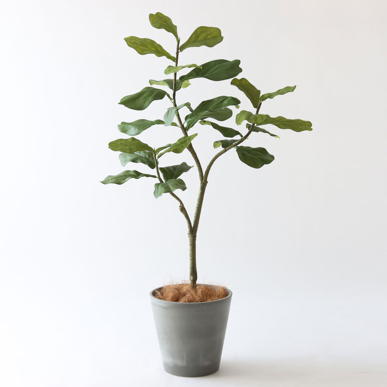 バナナリーフバスケット小 KG4-SRE＋ヤシの繊維（＋3500円）
