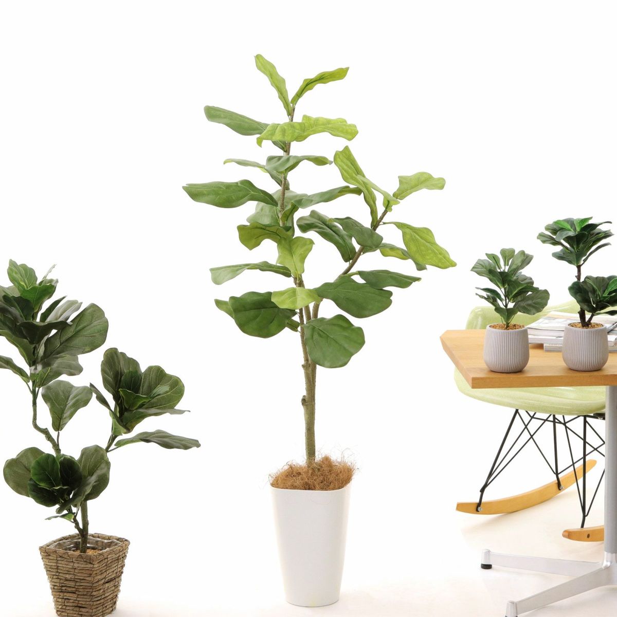 スマートポット CHIC8＋ヤシの繊維（＋1500円）